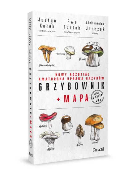 Grzybownik (2)