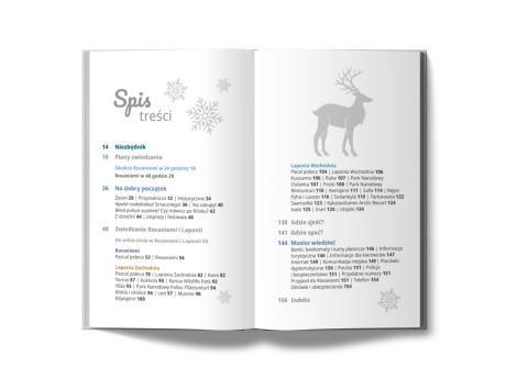 Rovaniemi i Laponia [Pascal Lajt] (4)