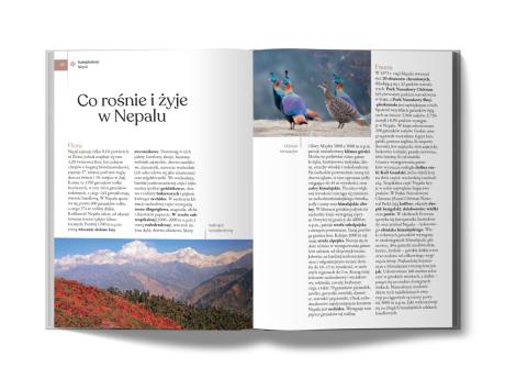 Nepal i Bhutan (Gold) (4)