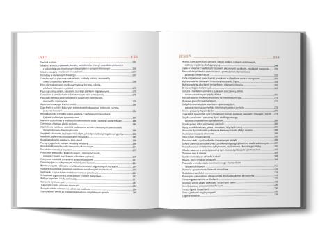 Moje cztery pory roku. Smyk w kuchni. Gotowanie, które inspiruje – prosto, pięknie, sezonowo (4)