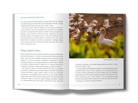 Nowa Zelandia. Tam, gdzie Kiwi tańczy hakę (4)