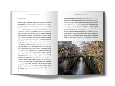 Tokio między pałeczkami. Stolica Japonii poza szlakiem. Opowieści wieloletniego mieszkańca o dzielnicach, restauracjach, barach, smakach i zapachach (7)