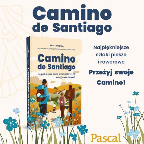 Camino de Santiago. Najpiękniejsze szlaki piesze i rowerowe (3)