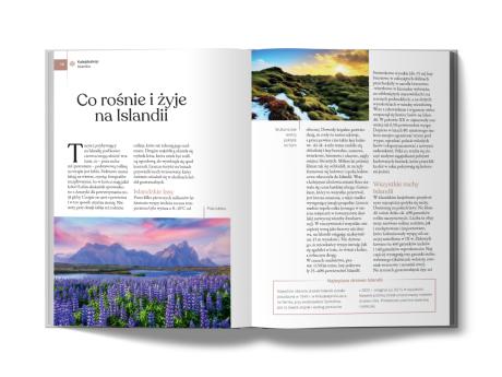 Islandia (Gold) (4)